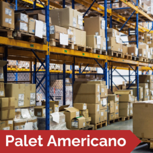 Palet Americano - 1 mes